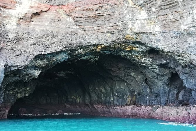 Akaroa and Banks Peninsula Small Group Tour (Nature Cruise or Dolphin Swim) - Pricing and Value