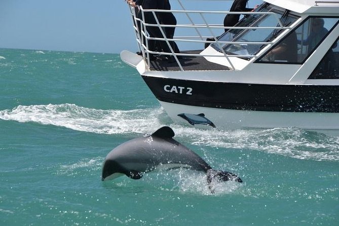 Akaroa and Banks Peninsula Small Group Tour (Nature Cruise or Dolphin Swim) - Booking and Availability
