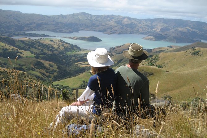 Akaroa and Banks Peninsula Small Group Tour (Nature Cruise or Dolphin Swim) - Tour Overview