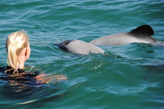 Akaroa and Banks Peninsula Small Group Tour (Nature Cruise or Dolphin Swim) - Directions