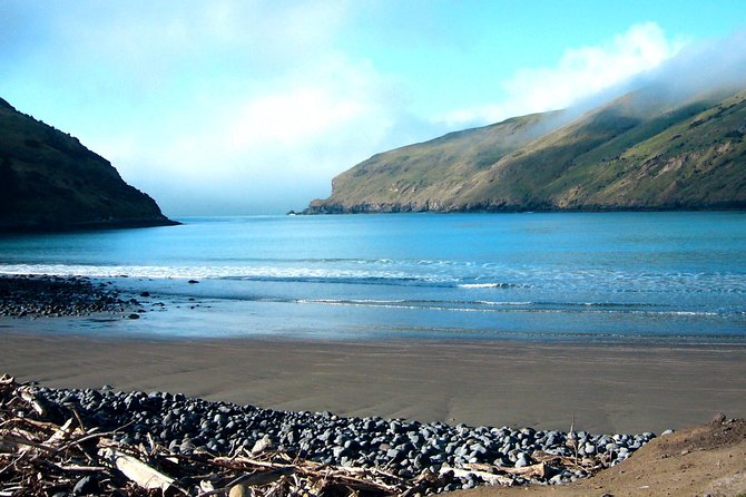 Akaroa and Banks Peninsula Wild Penguins Tour - Cancellation Policy