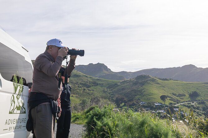 Akaroa & Banks Peninsula from Lyttelton(Private Shore Excursion) - Good To Know