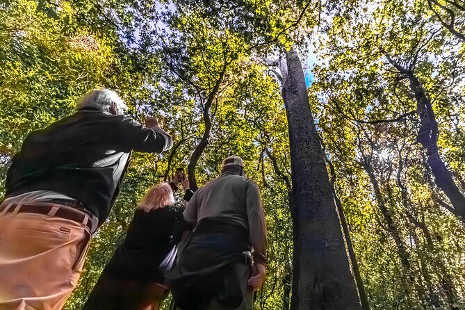 Akaroa & Banks Peninsula from Lyttelton(Private Shore Excursion) - Who Is This Tour Best For?