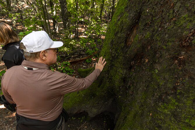 Akaroa & Banks Peninsula from Lyttelton(Private Shore Excursion) - FAQ