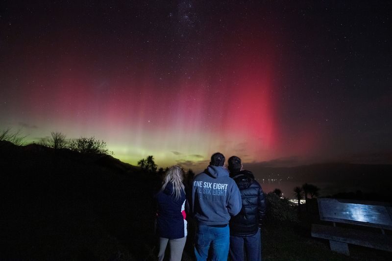 Akaroa Dark Sky Small Group Stargazing Tour - Start with the stars you can see unaided