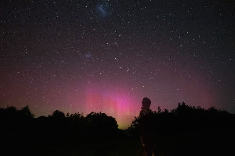 Akaroa Dark Sky Small Group Stargazing Tour - Make the most of your booking