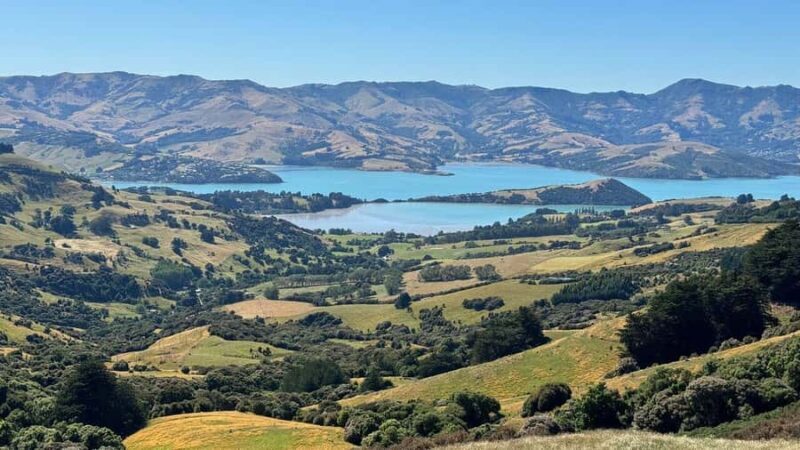 Akaroa Day Tour From Christchurch - Starting Point: Christchurch’s Convenient Pickup Locations