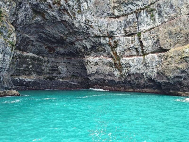 Akaroa Day Tour From Christchurch - Scenic Drive to Little River and Beyond