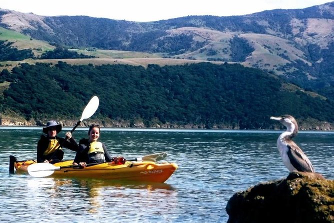 Akaroa Day Trip From Lyttelton Port - Return Shuttle Sea Kayak or Ebike Tour - Additional Information