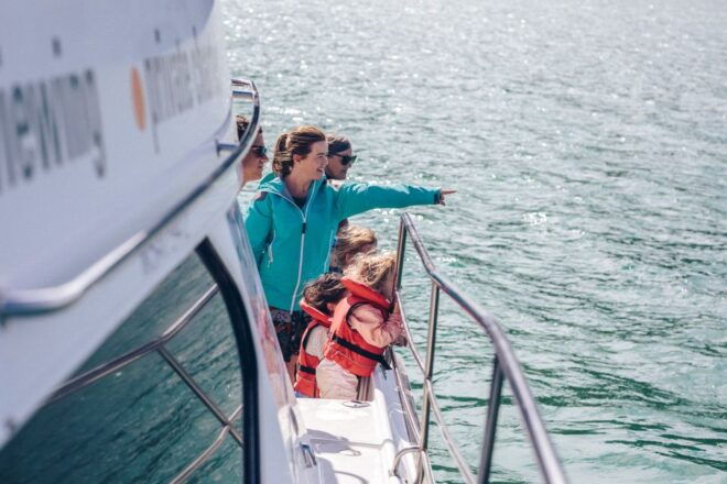 Akaroa: Dolphin Nature Cruise - Tour Highlights