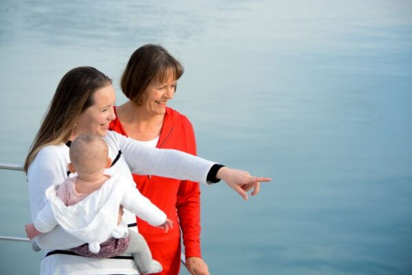 Akaroa: Dolphin Nature Cruise - Related Activities