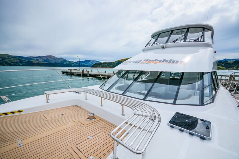 Akaroa Dolphins Harbour Nature Cruise - Who should book this Akaroa cruise?