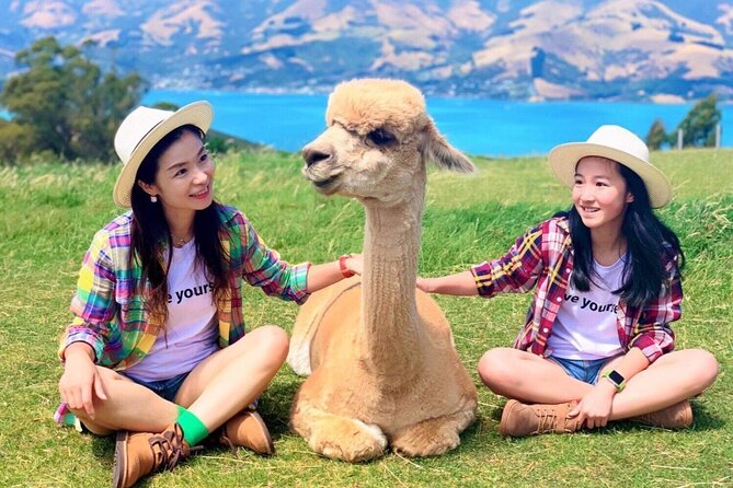 Akaroa Eco-Safari With Alpaca Farm Tour and Wine Tasting - Traveler Reviews