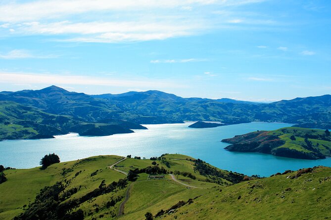 Akaroa Eco-Safari With Alpaca Farm Tour and Wine Tasting - Common Questions