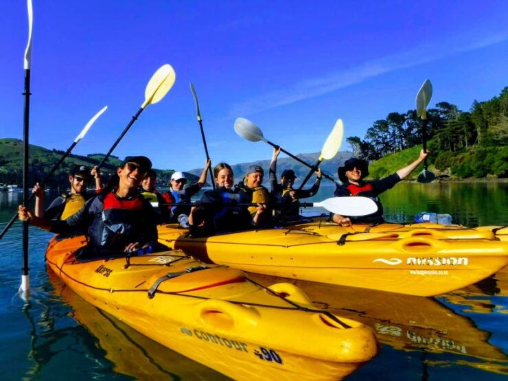 Akaroa: Electric Mountain Bike and Sea Kayak Adventure - Good To Know