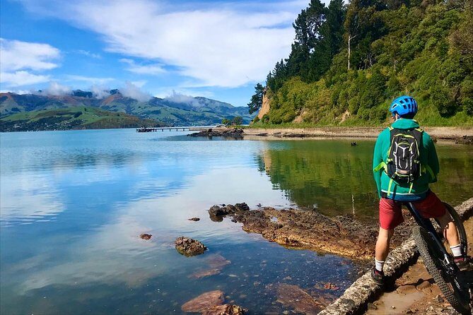 Akaroa Explorer- Guided Electric Bike Tour in Akaroa - The Sum Up