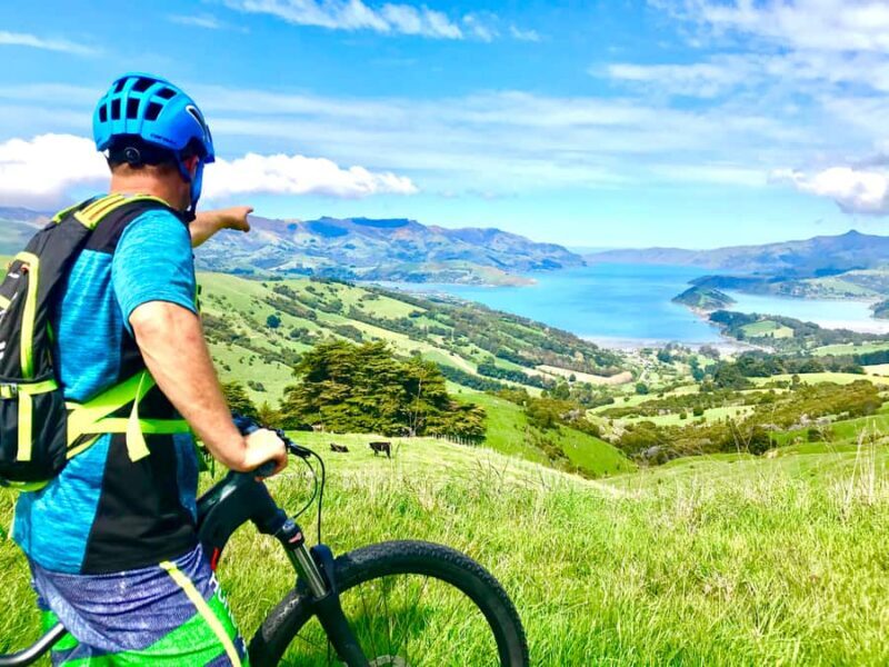 Akaroa Explorer: Guided Electric Mountain Bike Tour - Good To Know