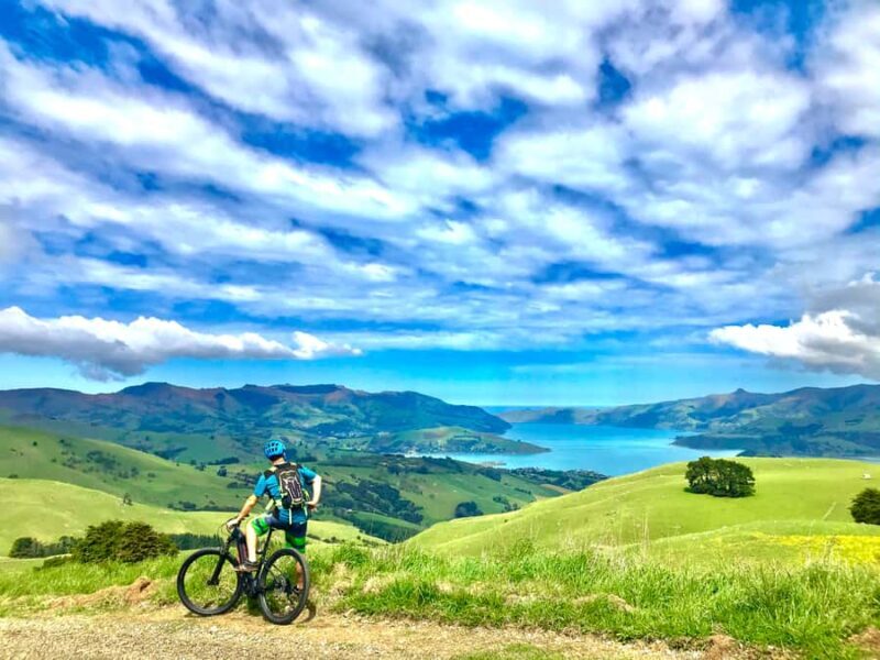 Akaroa Explorer: Guided Electric Mountain Bike Tour - The Itinerary and Key Highlights