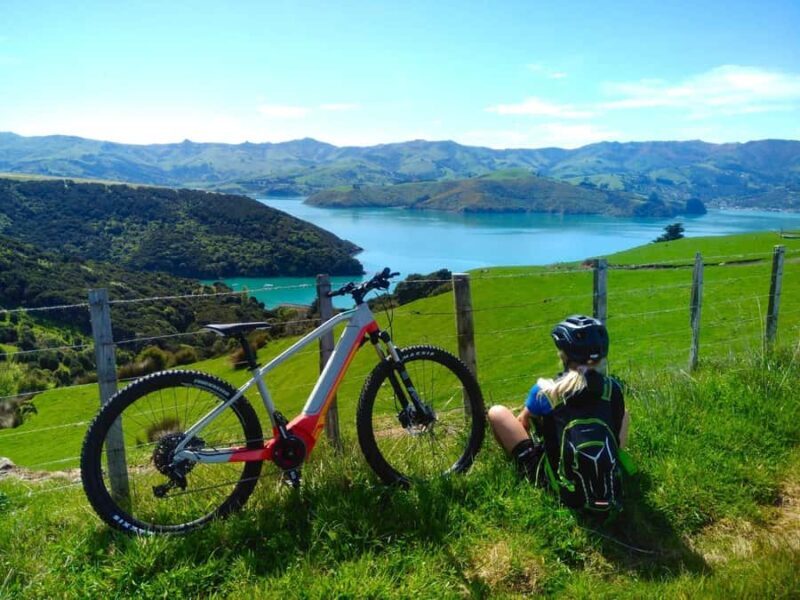 Akaroa Explorer: Guided Electric Mountain Bike Tour - What to Expect from the Experience