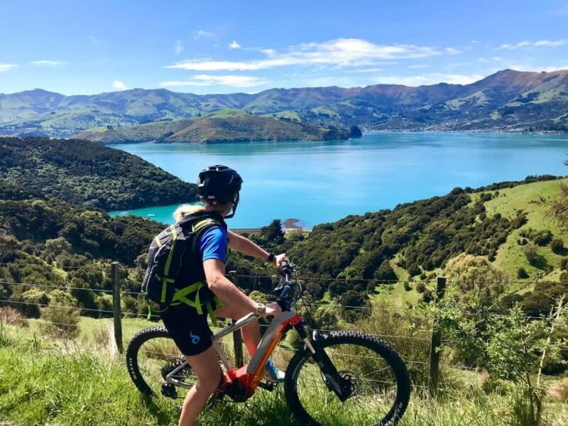 Akaroa Explorer: Guided Electric Mountain Bike Tour - The Sum Up