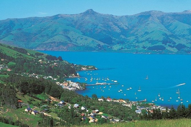 Akaroa Full Day Sightseeing Tour From Christchurch - Tour Highlights and Activities