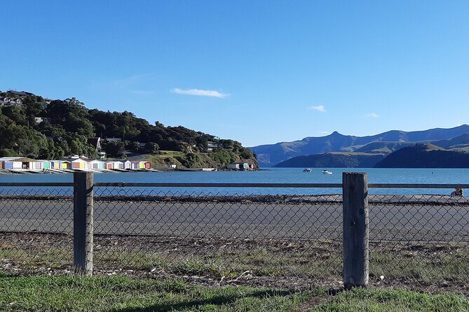Akaroa & Giants House Garden tour ex Lyttelton (Shore Excursion) - FAQ
