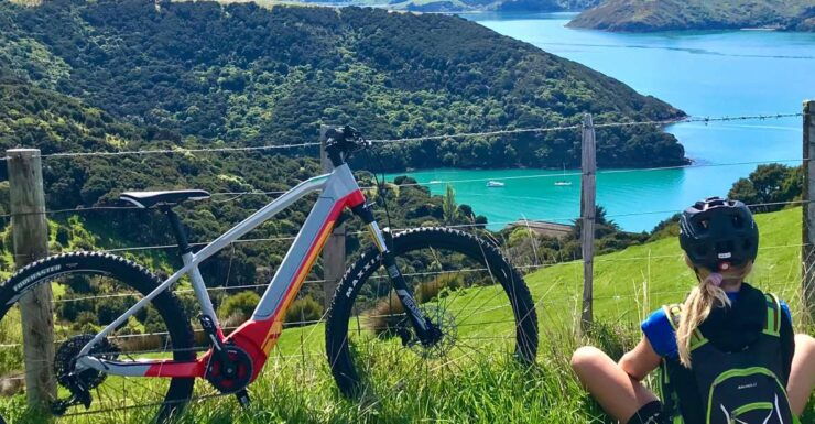 Akaroa: Guided Electric Mountain Bike Tour - Experience the Stunning Views of Akaroa