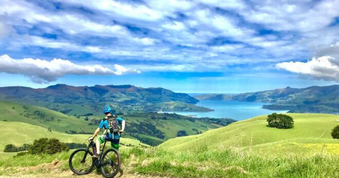 Akaroa: Guided Electric Mountain Bike Tour - Other Recommended Activities in Akaroa