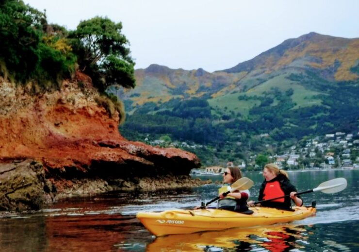 Akaroa Harbour 2-2.5 -Hour Eco Tour by Sea Kayak - Activity Details