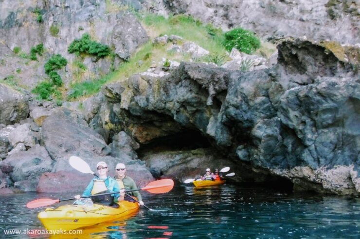 Akaroa Harbour 2-2.5 -Hour Eco Tour by Sea Kayak - Experience