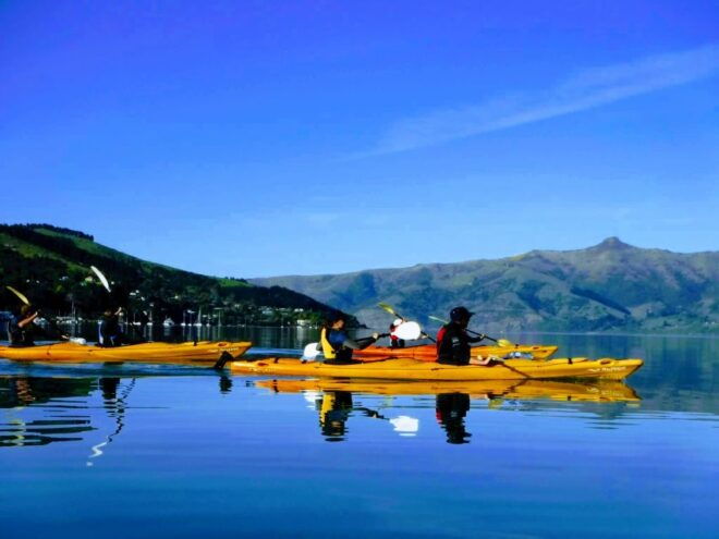 Akaroa Harbour 2-2.5 -Hour Eco Tour by Sea Kayak - Full Description