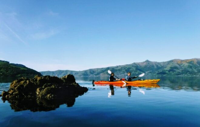 Akaroa Harbour 2-2.5 -Hour Eco Tour by Sea Kayak - Related Activities