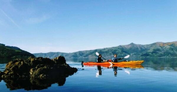 Akaroa Harbour 2-2.5 -Hour Eco Tour by Sea Kayak - The Sum Up