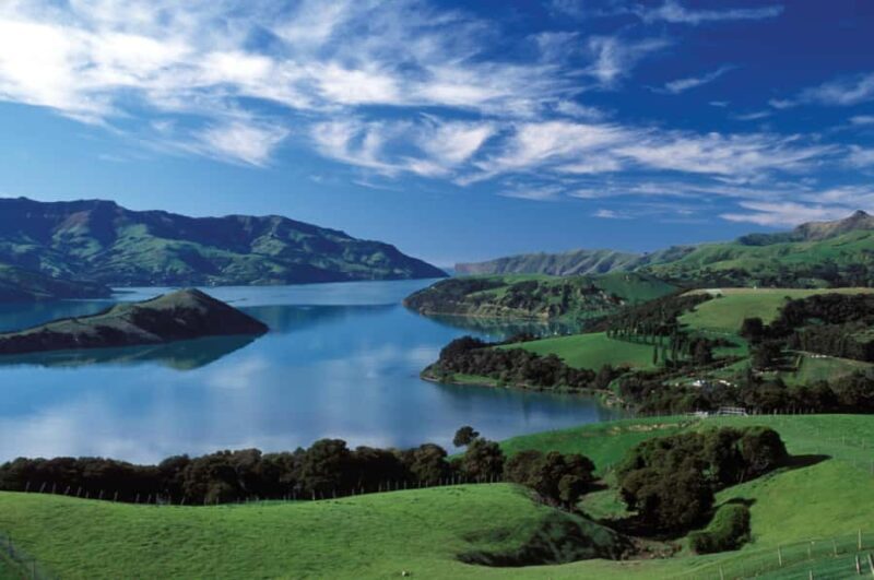 Akaroa Harbour 2-Hour Dolphin Nature Cruise - The Value of the Tour