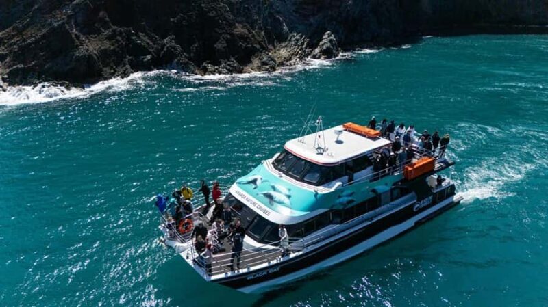 Akaroa Harbour 2-Hour Dolphin Nature Cruise - FAQ