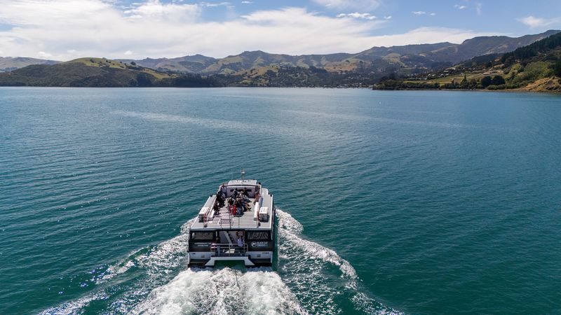 Akaroa Harbour Nature Cruise - Is the fare worth it?
