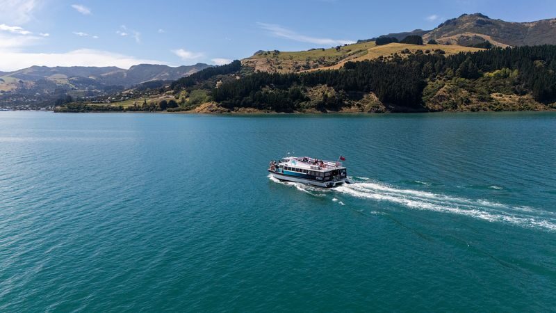 Akaroa Harbour Nature Cruise - Booking, weather and a few practical details