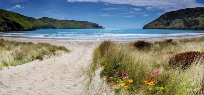 Akaroa: Lonely Beach Trail by E-Scooter. selfguided day out - Good To Know