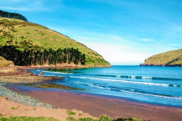 Akaroa: Pohatu Penguins Scenic Nature 2-Hour or 4-Hour Tour - Tour Experience