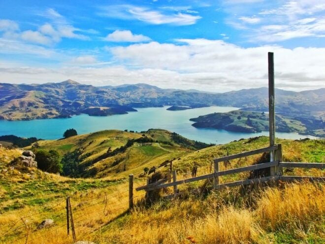 Akaroa: Pohatu Penguins Scenic Nature 2-Hour or 4-Hour Tour - Full Description of the Tour