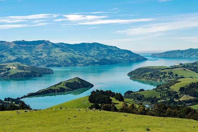 Akaroa Private Day Tour From Christchurch (Carbon Neutral) - Tour Pricing and Reservation
