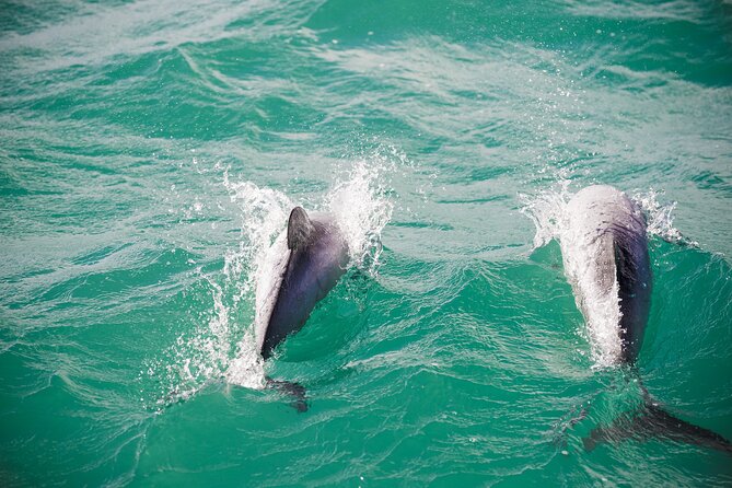 Akaroa Private Day Tour From Christchurch (Carbon Neutral) - Cancellation Policy and Refunds