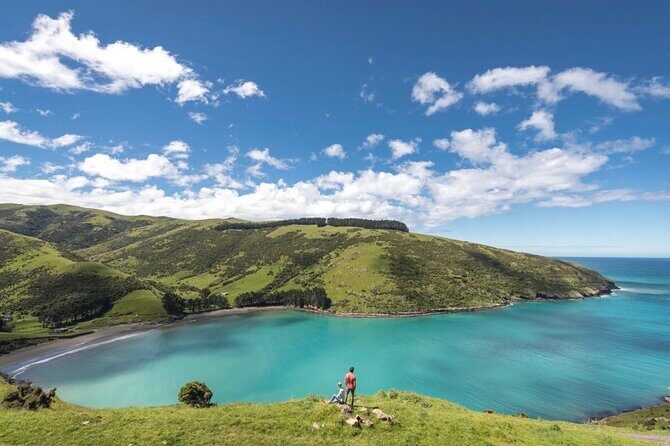 Akaroa Private Day Tour from Christchurch - Why Choose the Akaroa Private Day Tour from Christchurch?