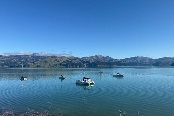 Akaroa Private Day Tour from Christchurch - The Sum Up