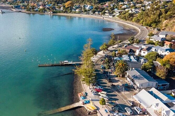 Akaroa Private Day Trip From Christchurch - An In-Depth Look at the Tour Experience