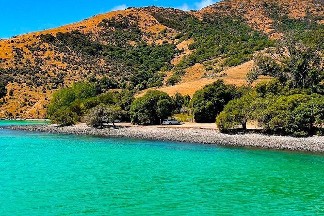 Akaroa Private Group Day Trip from Christchurch - Good To Know  