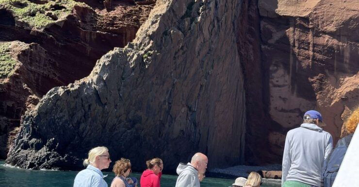 Akaroa: Scenic Coastline Wildlife Cruise - Activity Highlights