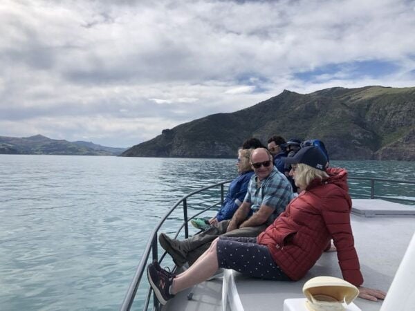 Akaroa: Scenic Coastline Wildlife Cruise - Reserve Now & Pay Later Option
