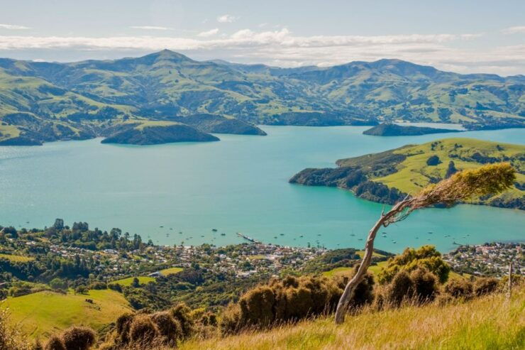 Akaroa Self-Guided Audio Tour - Activity Details