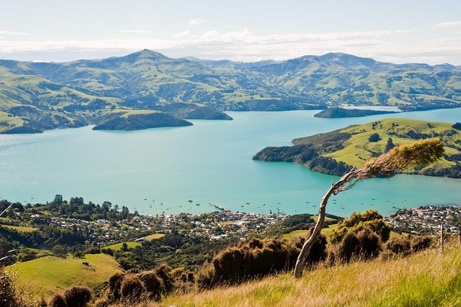 Akaroa Self Guided Audio Tour - Common Questions